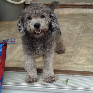 Meet your Posher, Kelly